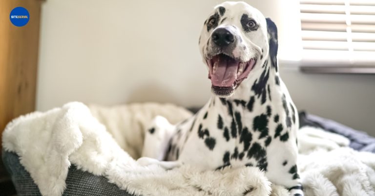 Unusual Pets That Make Surprisingly Great Companions